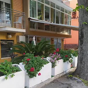 https://ostello-majorca.riccione-hotels.org